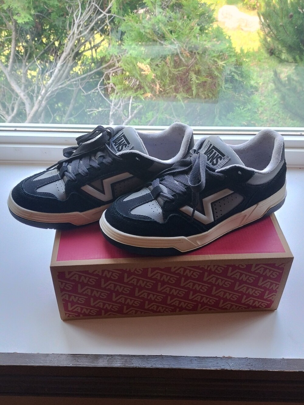 Vans Black and Gray Low-Top Skate Sneakers